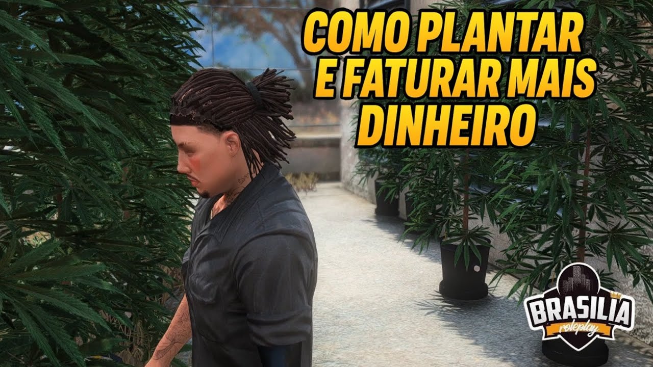 Como plantar a PURA e ganhar MUITO DINHEIRO! - Brasília RP - #6