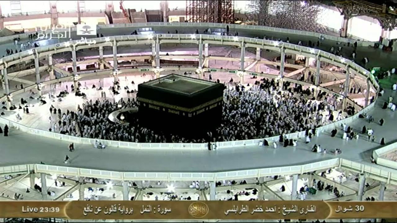 سورة النمل برواية قالون عن نافع :: أحمد الطرابلسي Saudi Quran HD