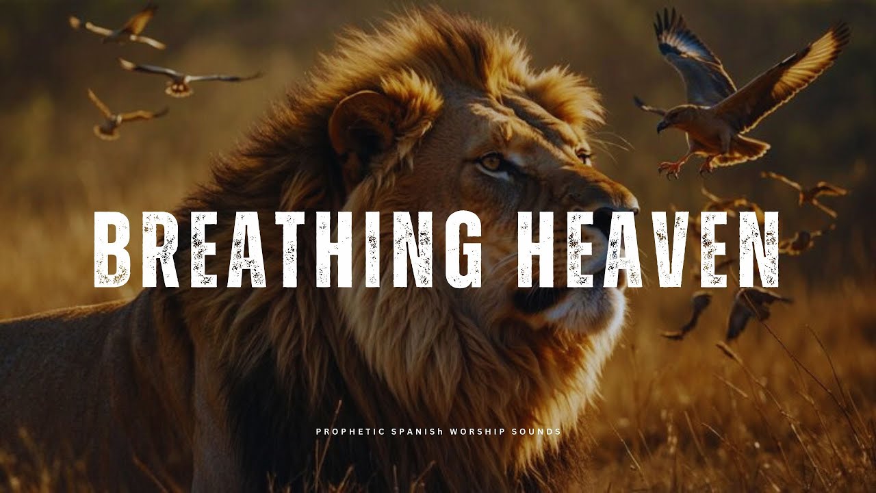 BREATHING HEAVEN | Prophetic Worship Music for Prayer & Soaking