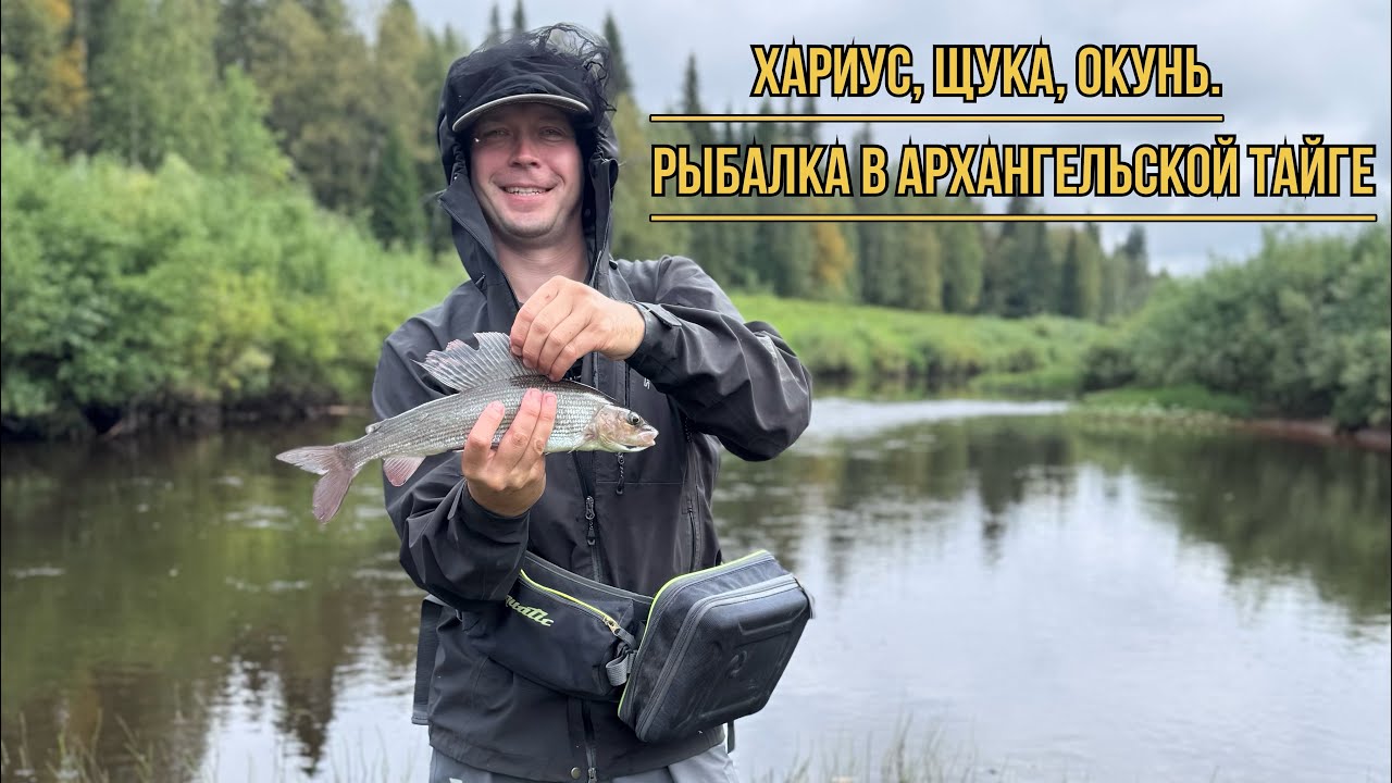 ХАРИУС, ЩУКА, ОКУНЬ. РЫБАЛКА В ВЕРХОВЬЯХ ТАЁЖНОЙ РЕКИ АРХАНГЕЛЬСКОЙ ОБЛАСТИ.