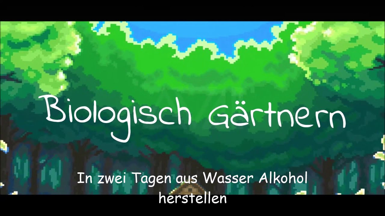 In zwei Tagen aus Wasser Alkohol herstellen