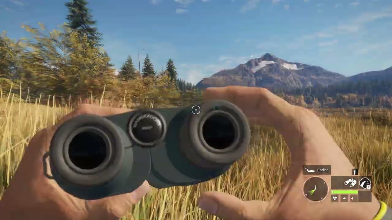 Sneaking up on a Buck,,Bear and Moose. Hunter: Call of the Wild