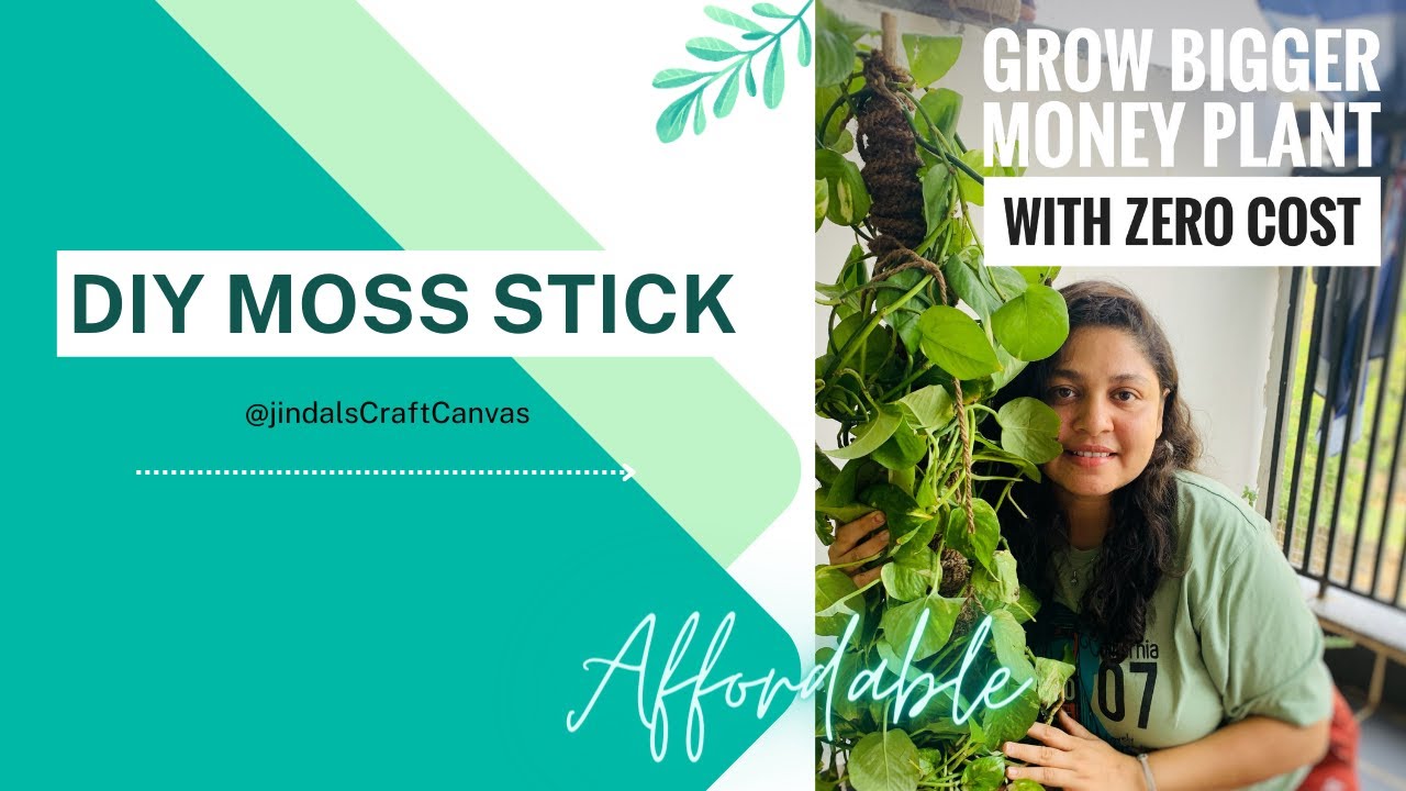 Make Moss Stick at Home | घर पर मॉस स्टिक बनाएं | DIY Moss Pole for HUGE Growth