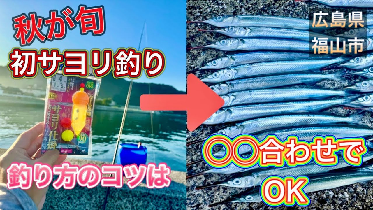 【秋が旬】初のサヨリ釣りで覚醒して最高の刺身食ってやったぜ！！広島県福山市