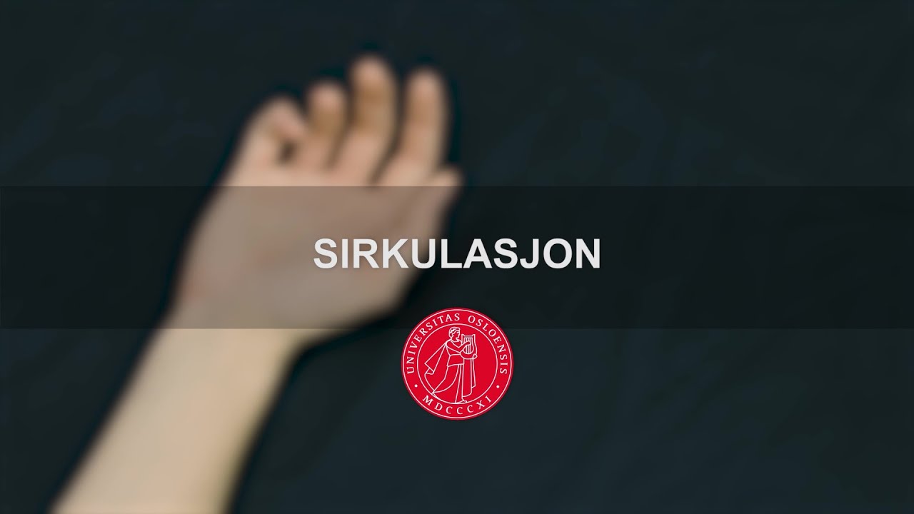 Sirkulasjon