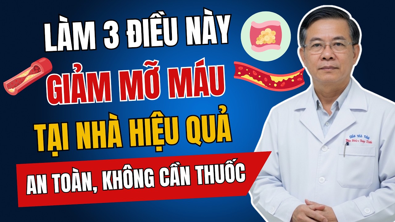 Muốn GIẢM MỠ MÁU Tại Nhà, Làm Ngay 3 Điều Này - An Toàn, Hiệu Quả