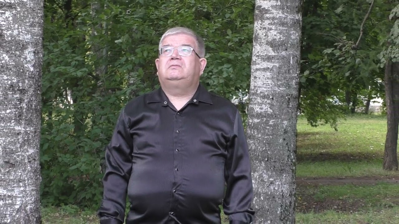 Геннадий Григорьев - Турня-влак (Журавли)