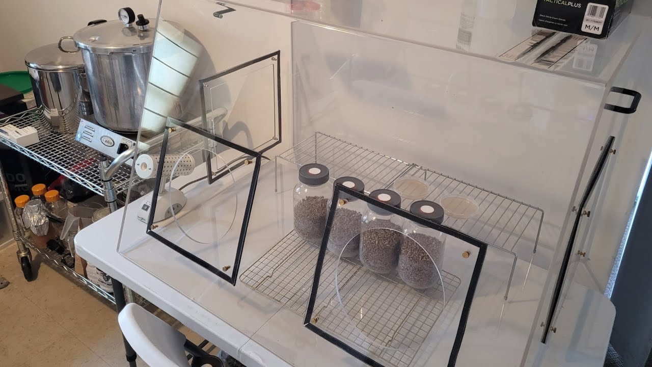 How to operate a still air box (SAB) for home and commercial mushroom cultivation