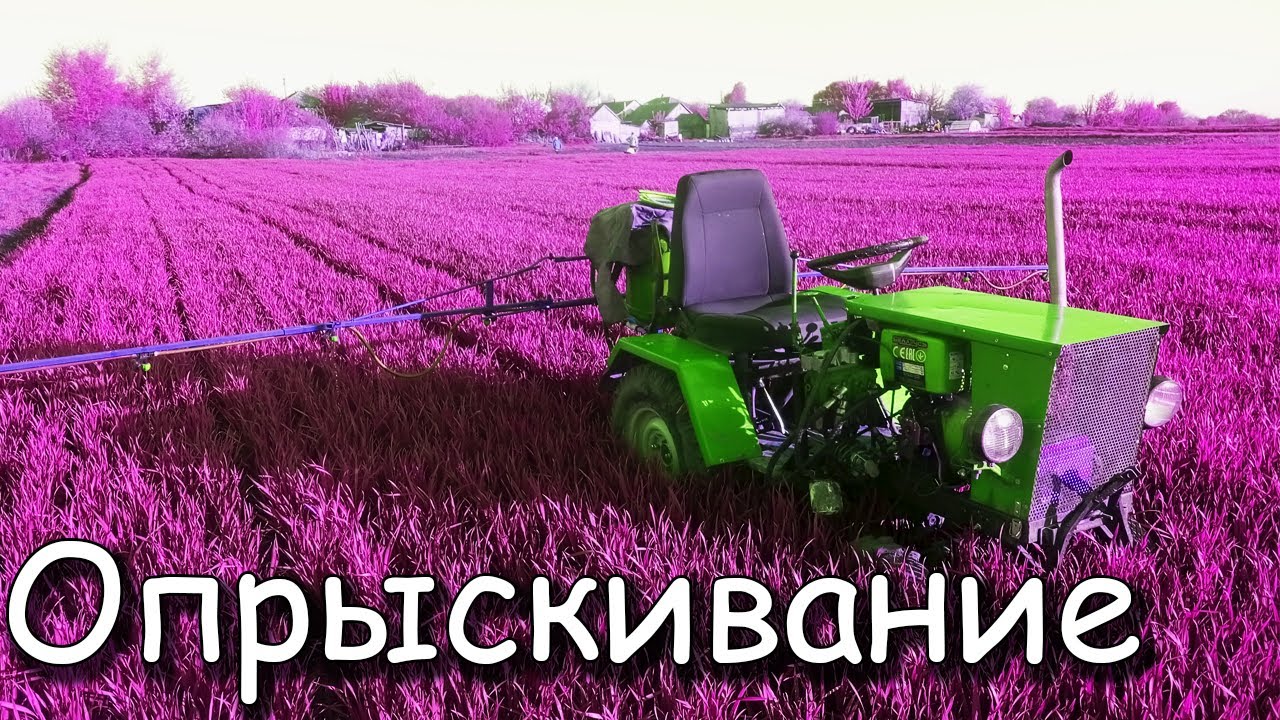 Опрыскивание пшеницы самодельным опрыскивателем на минитрактор 2022 г.