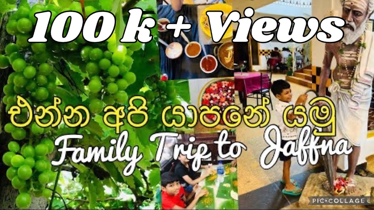 අපි යාපනේ යමුද? Our Family Trip to Jaffna| Grape Farm|15 Attractions| Hotels | Food Review| Beaches