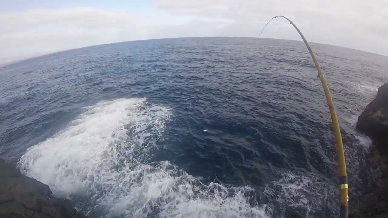 GRAN PALOMETA🐟🎣👌😊🤙
