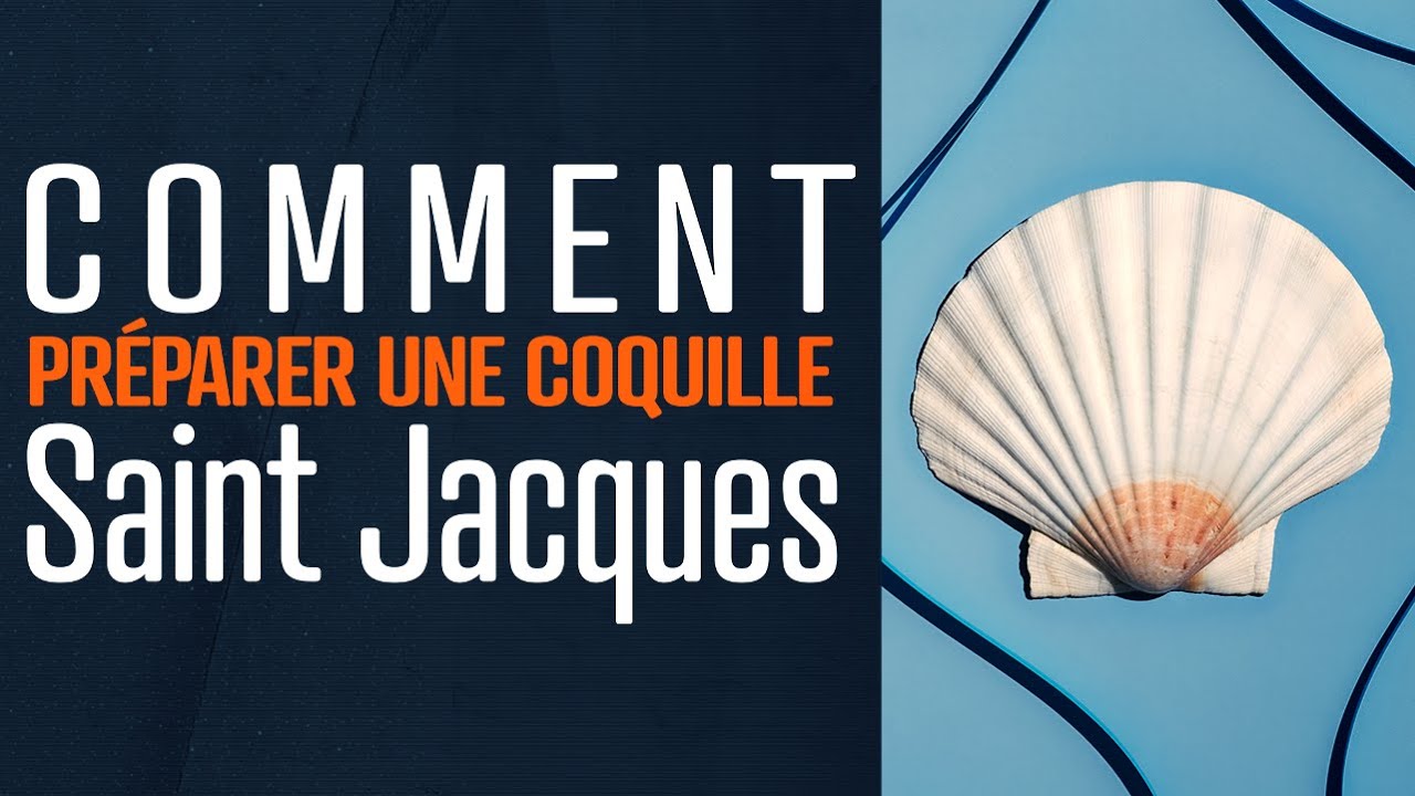 Comment Préparer une Coquille Saint Jacques