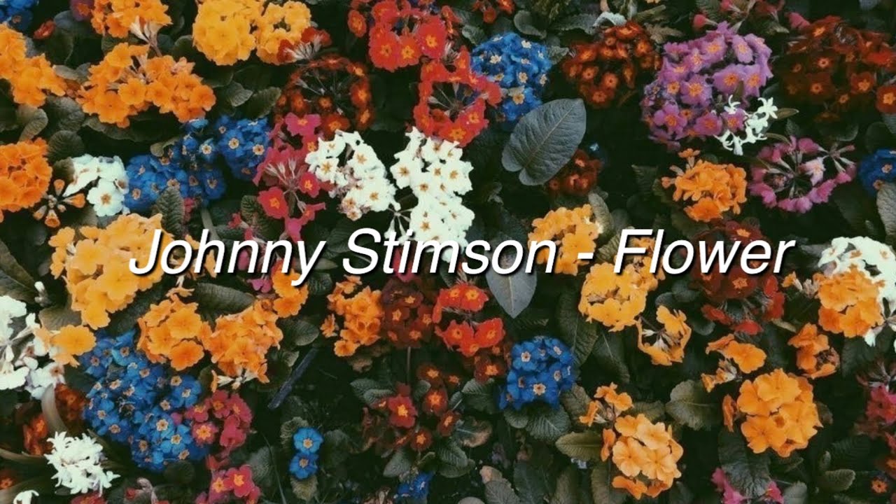 [가사해석] Johnny Stimson - Flower