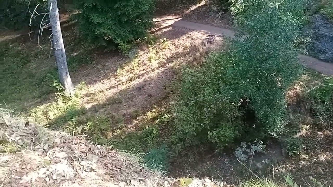 Im Schlosspark Altenstein bei Bad Liebenstein wundersch&ouml;n