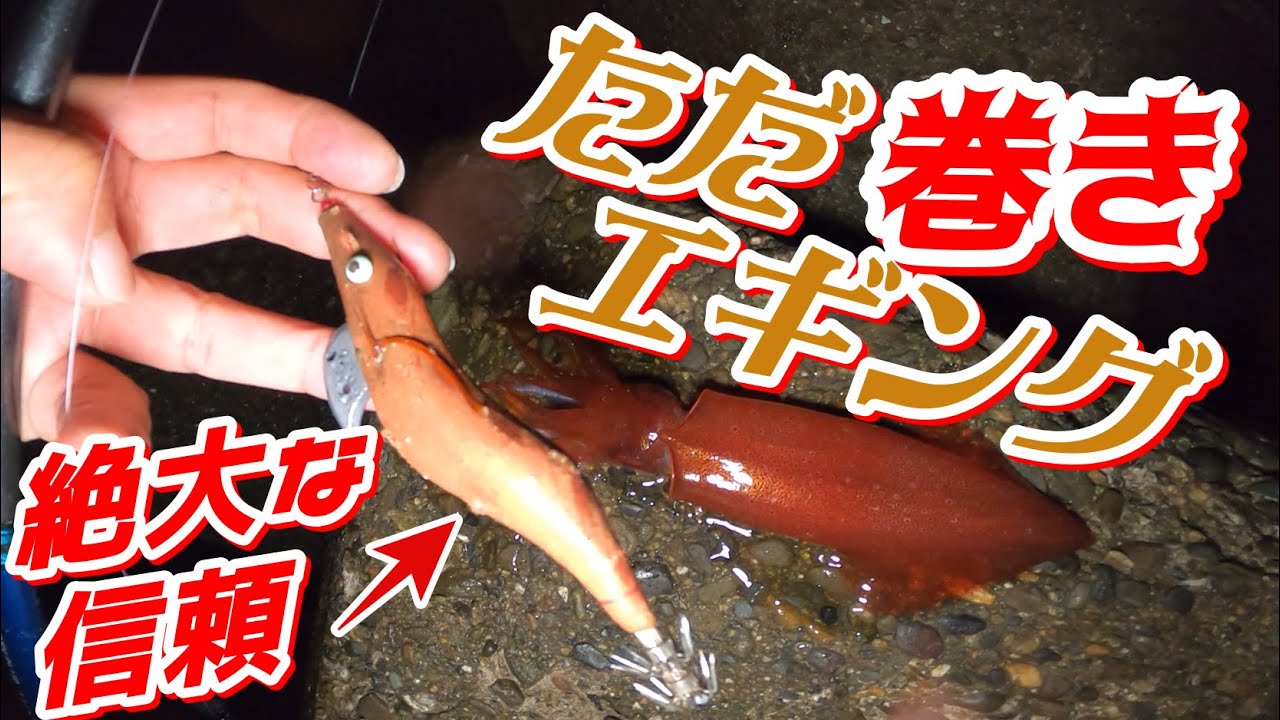 エギング編 テトラからただ巻きエギング 餌木猿スーパーシャローランキング！