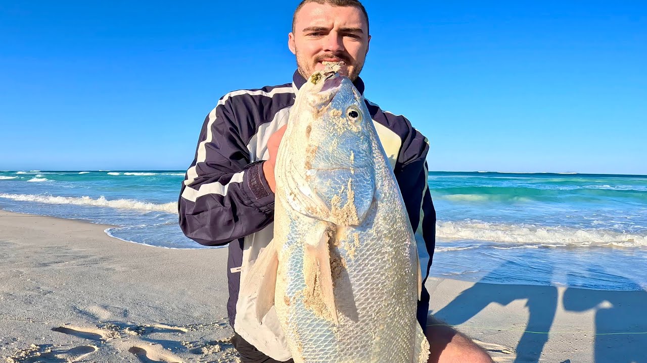 Mulloway From the Beach