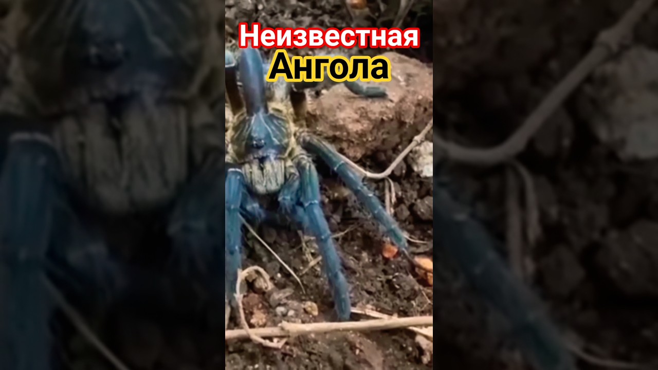 Неизвестная Ангола!! СМОТРИТЕ ПОЛНОЕ ВИДЕО!