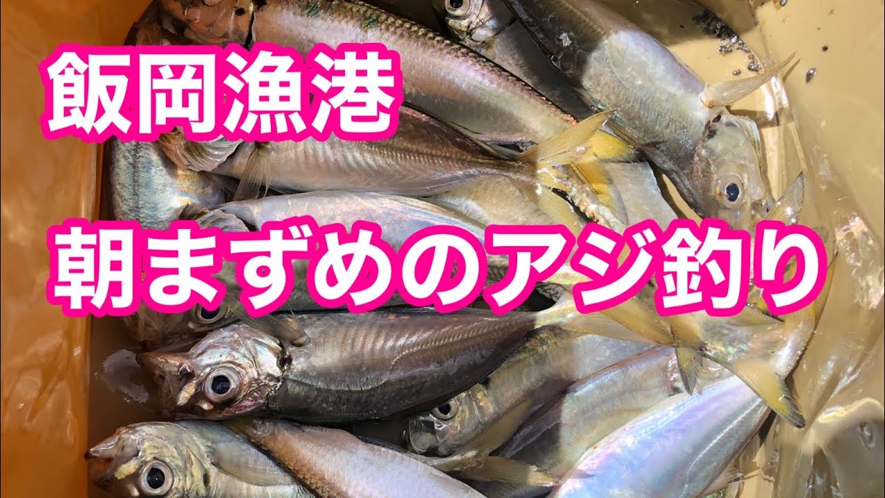 【飯岡漁港】アジが釣れました！　2022年8月11日