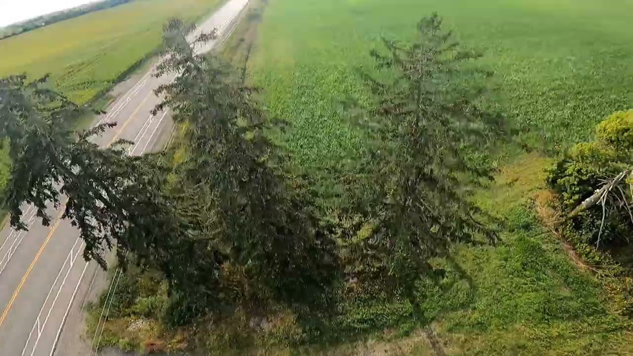 Between 2 Trees