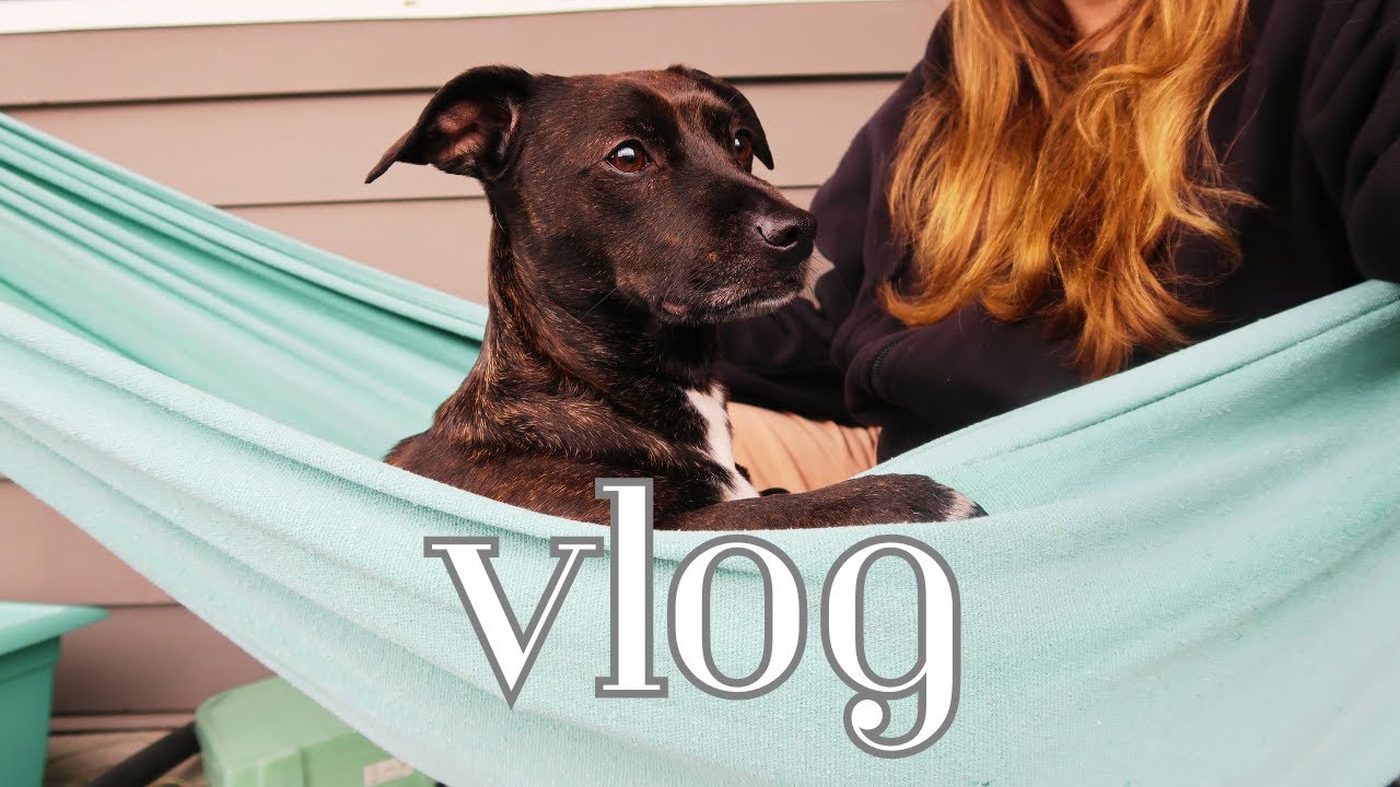 | a February vlog |