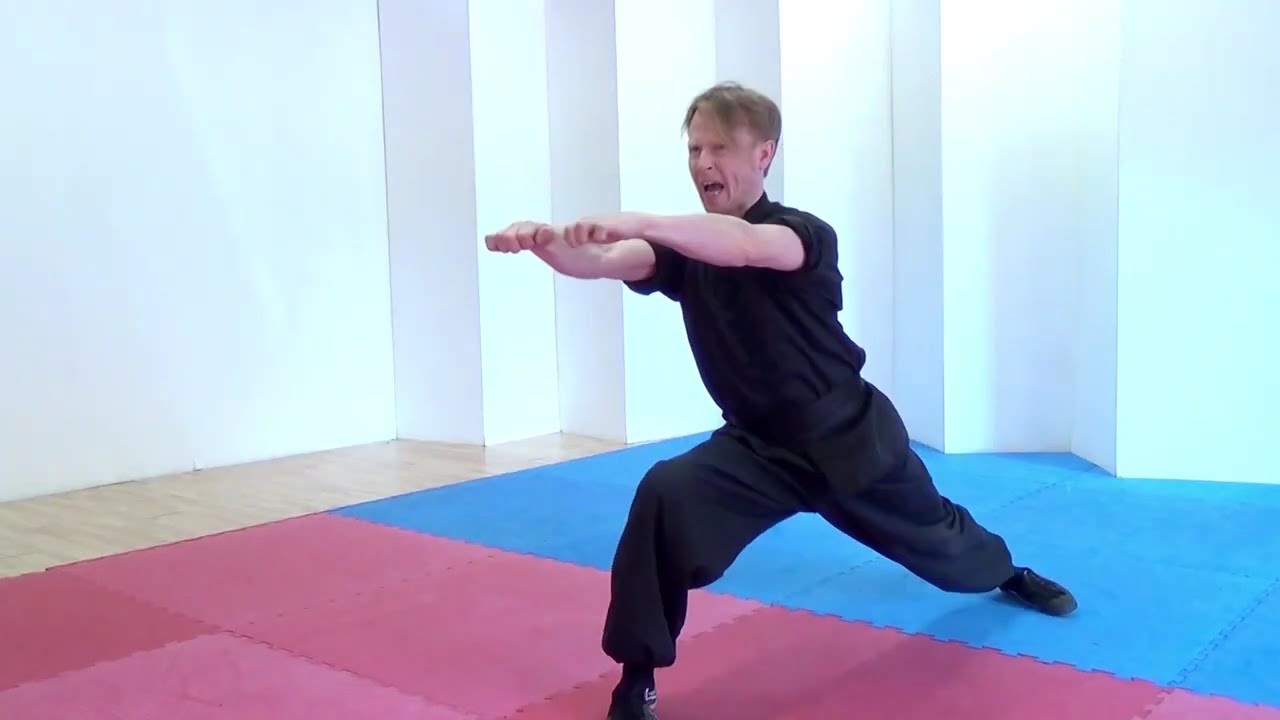 Learn Choy Li Fut Kung Fu | Ping Kuen form.