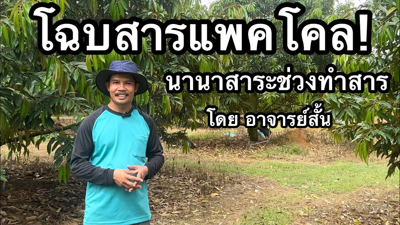 โฉบสารแพคโคล! ที่มาที่ไป... ประโยชน์.. ข้อควรรู้.. วิธีใช้.. และ ข้อควรระวัง... | อาจารย์สั้น