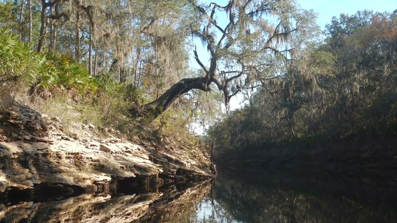 The Wild Suwannee River
