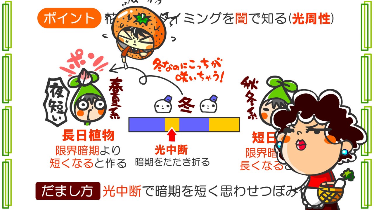 生物４章１０話「植物の騙し方」ｂｙWEB玉塾