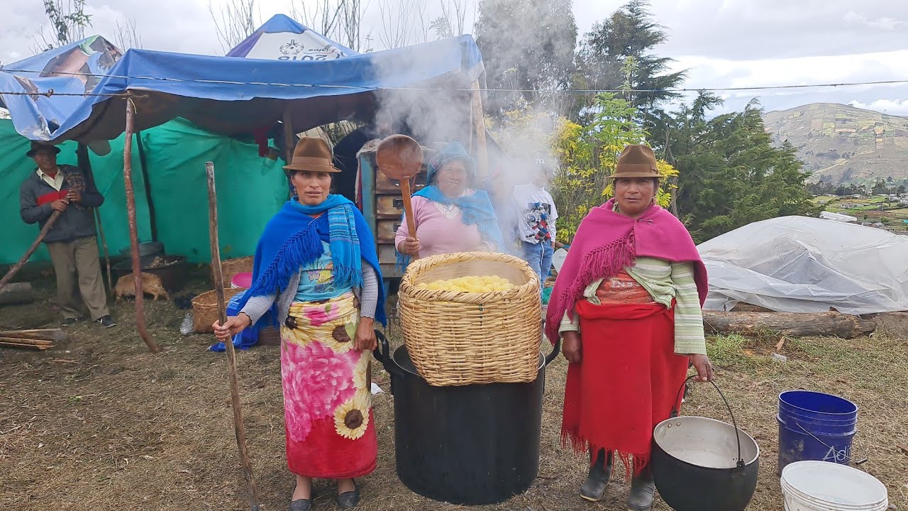 PREPARATIVOS DE BODA & RECEPCIÓN EN GRADO DE. Toapanta Alexandra //Rumipungo_ Pujilí_ Cotopaxi 2023/