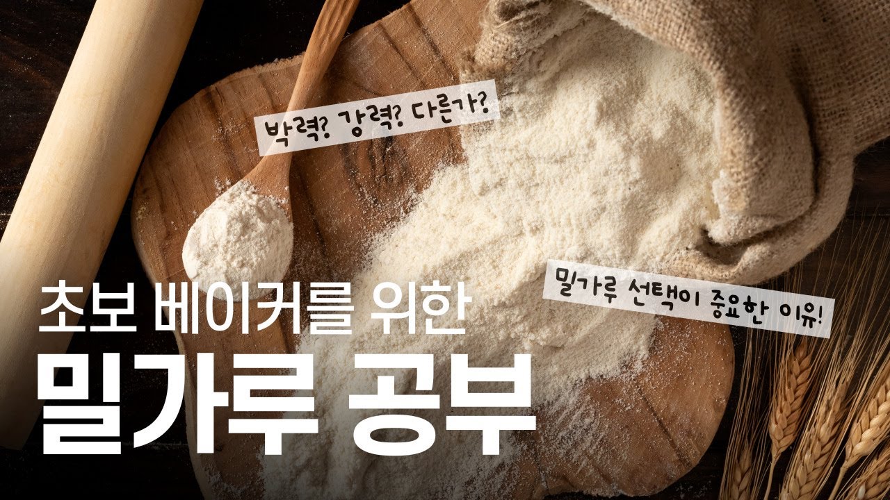 베이킹 시작한다면 꼭 알아야 하는 밀가루🌾박력분vs강력분, 밀가루 공부, 홈베이킹