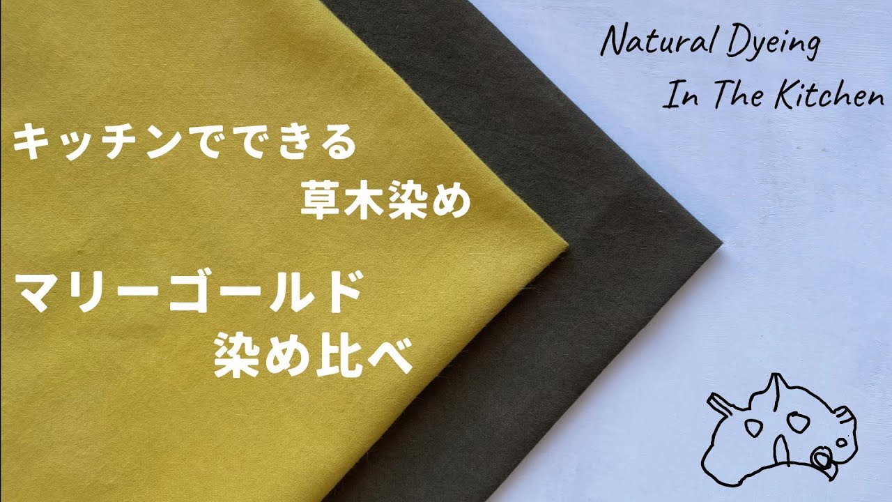『一番身近な園芸植物 マリーゴールド染めの染め比べ』キッチンでできる草木染め 第二十弾