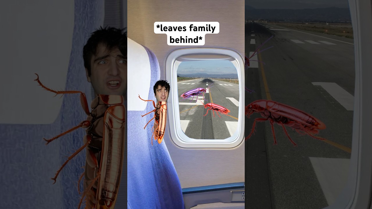 When A Bug Gets On Your Plane 🤣 #shorts #relatable