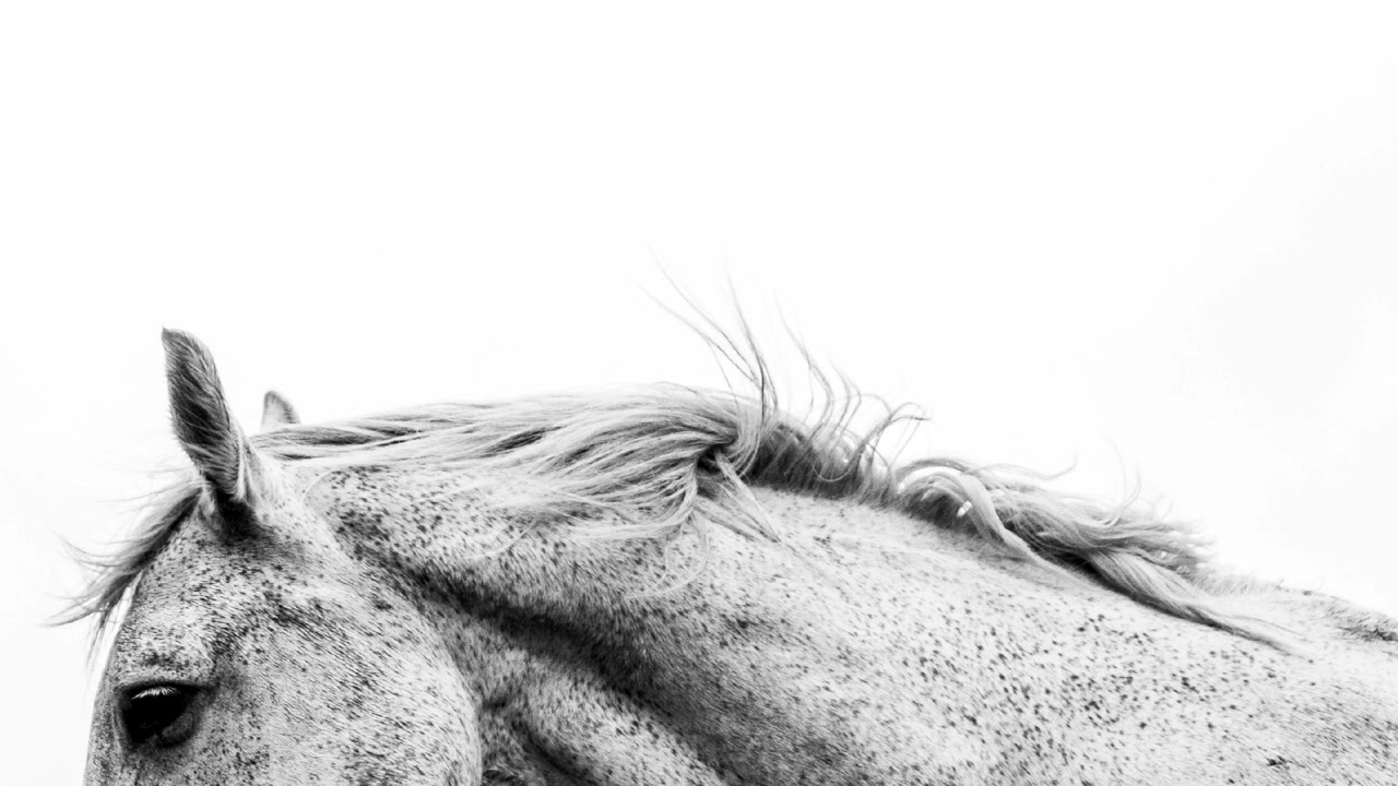 &Aring;K7 - NO EXIT (official audio)