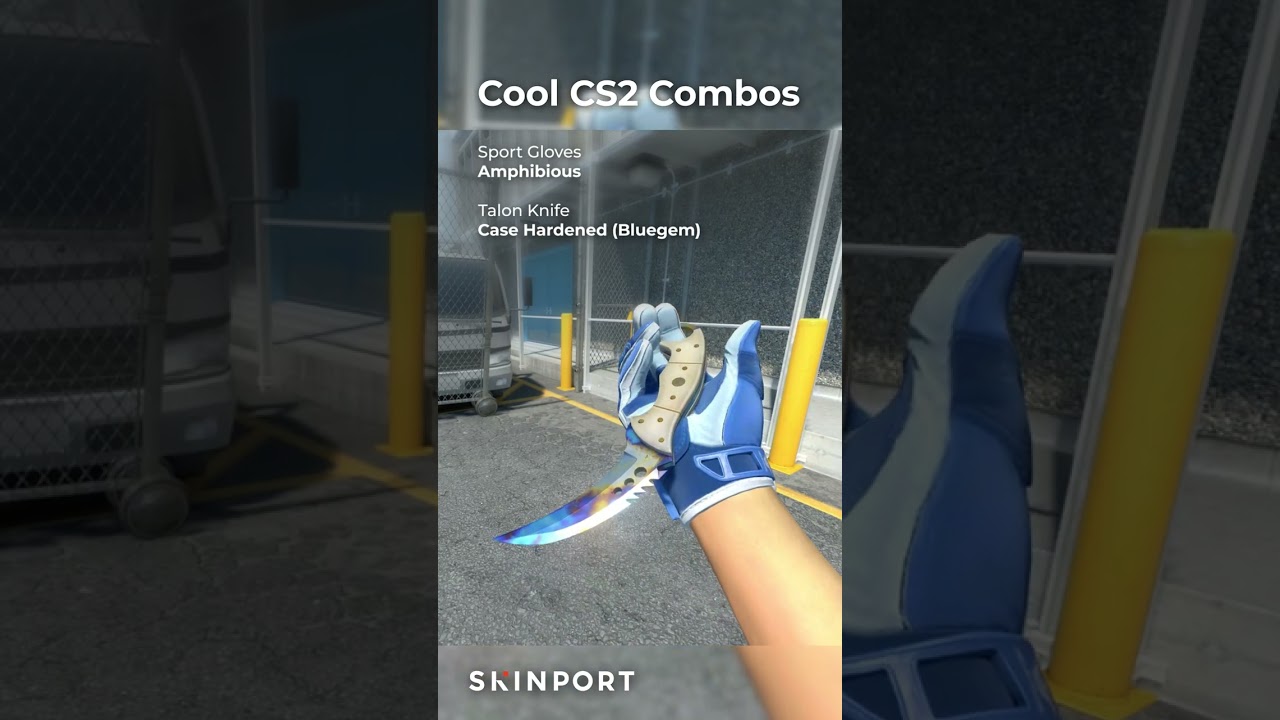 Coolest Skin-Combos in CS2