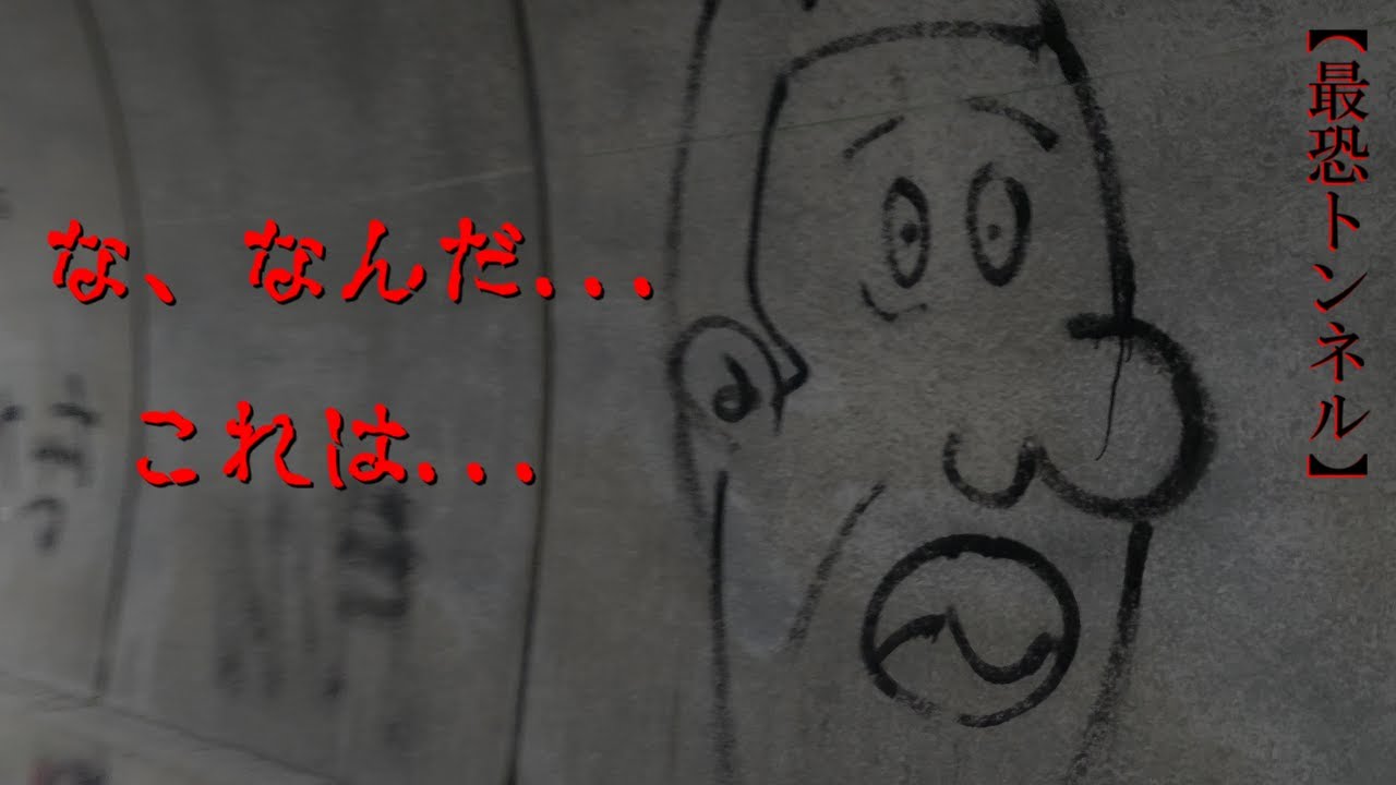 【河内長野市】滝畑第3トンネルを散歩したらなにかいた【アナゴさん】