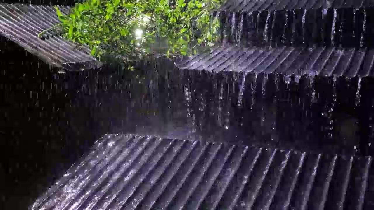 Heavy Rain Under Tin Roof 🌧️ Deep Sleep & Anxiety Relief