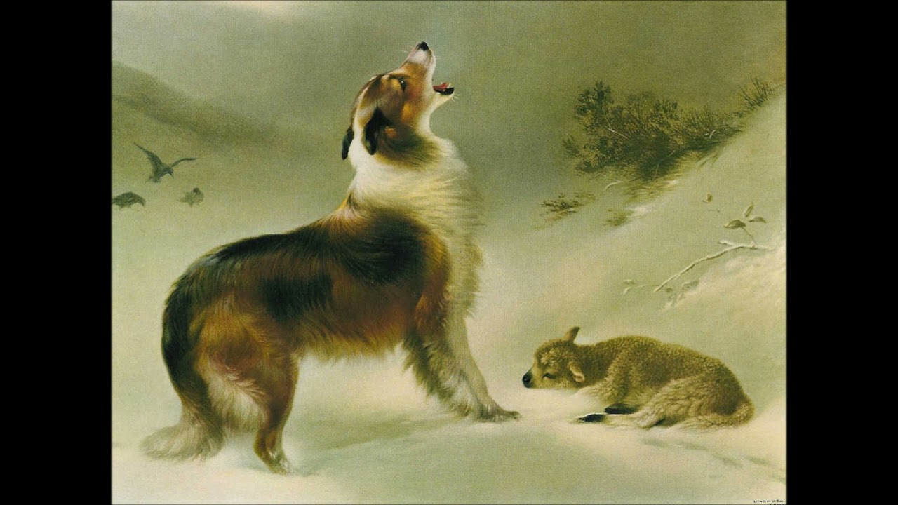 Walter Hunt (1861-1941): 24 paintings