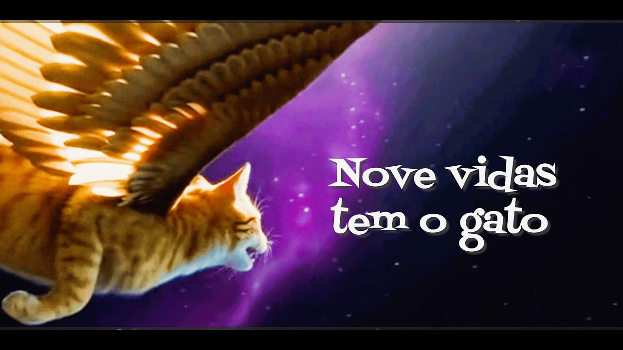 Nove vidas tem o gato