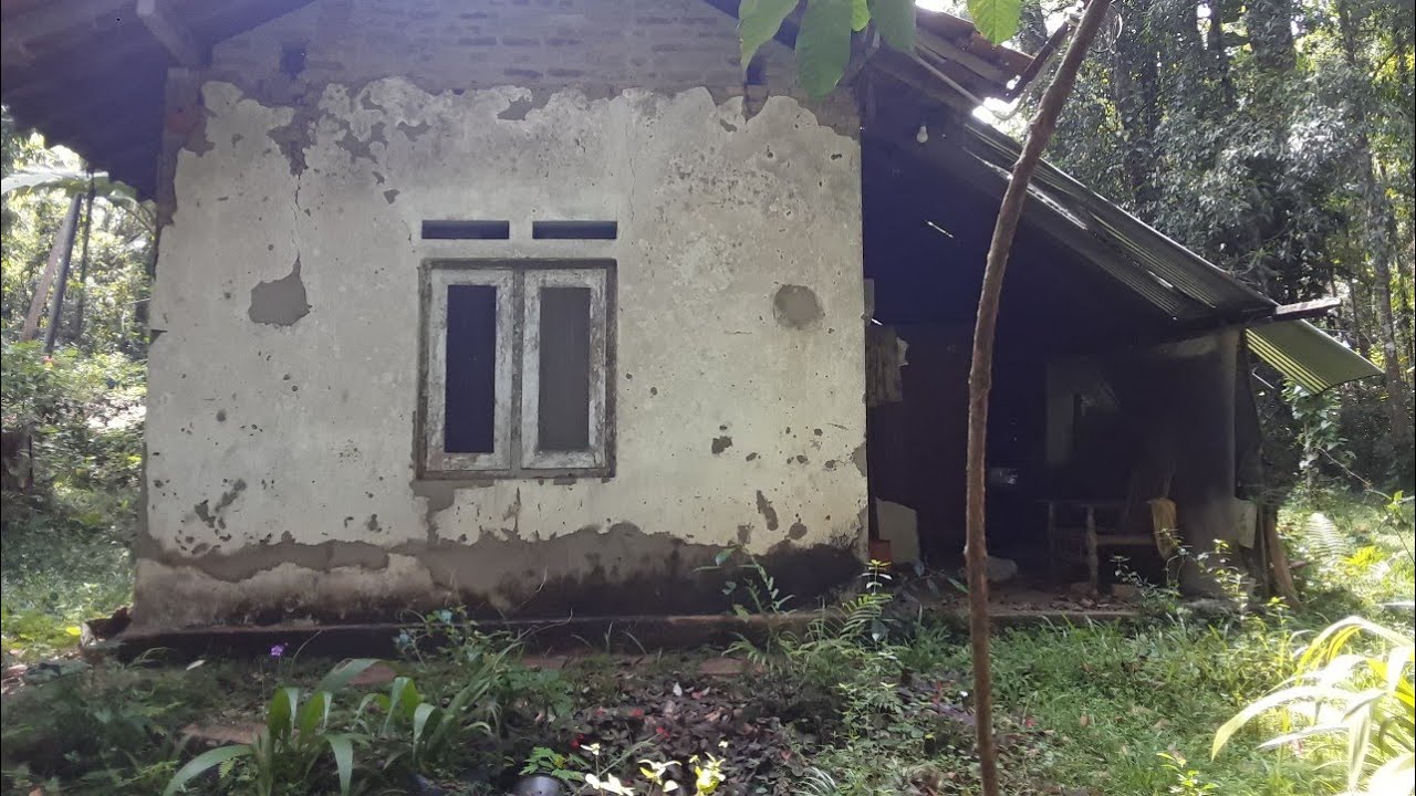 My Home Walasmulla #my #home #walasmulla #ceylon #srilanka #ghost #viral #tranding #mother #house🙏🌼🙏