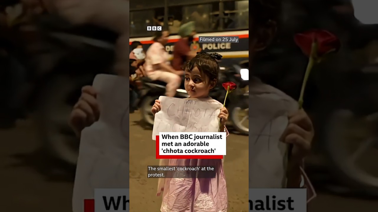 'Chhota cockroach' at CJP protest | BBC News India