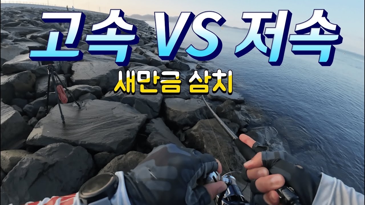 빨리감기 VS 그냥감기 : 뭐가더 잘물까? 새만금 삼치낚시