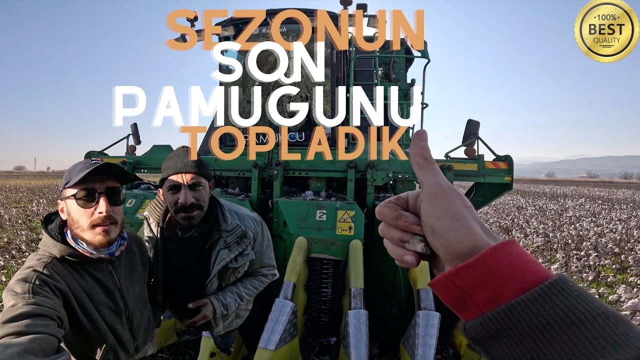 ŞUBAT AYINDA PAMUK TOPLADIK #pamukVlog