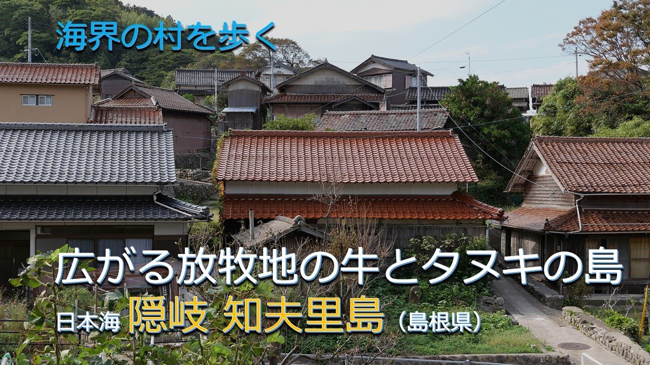 広がる放牧地の牛とタヌキの島／海界の村を歩く 隠岐 知夫里島（島根県）