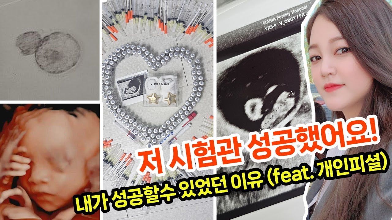 시험관 브이로그💉고차수가 알려주는 시험관 성공법❗️간절하시면 보세요👀시험관 배양│시험관시술과정│자궁외임신│화학적유산│시험관주사│배아이식│시험관비용│송파마리아│장기요법