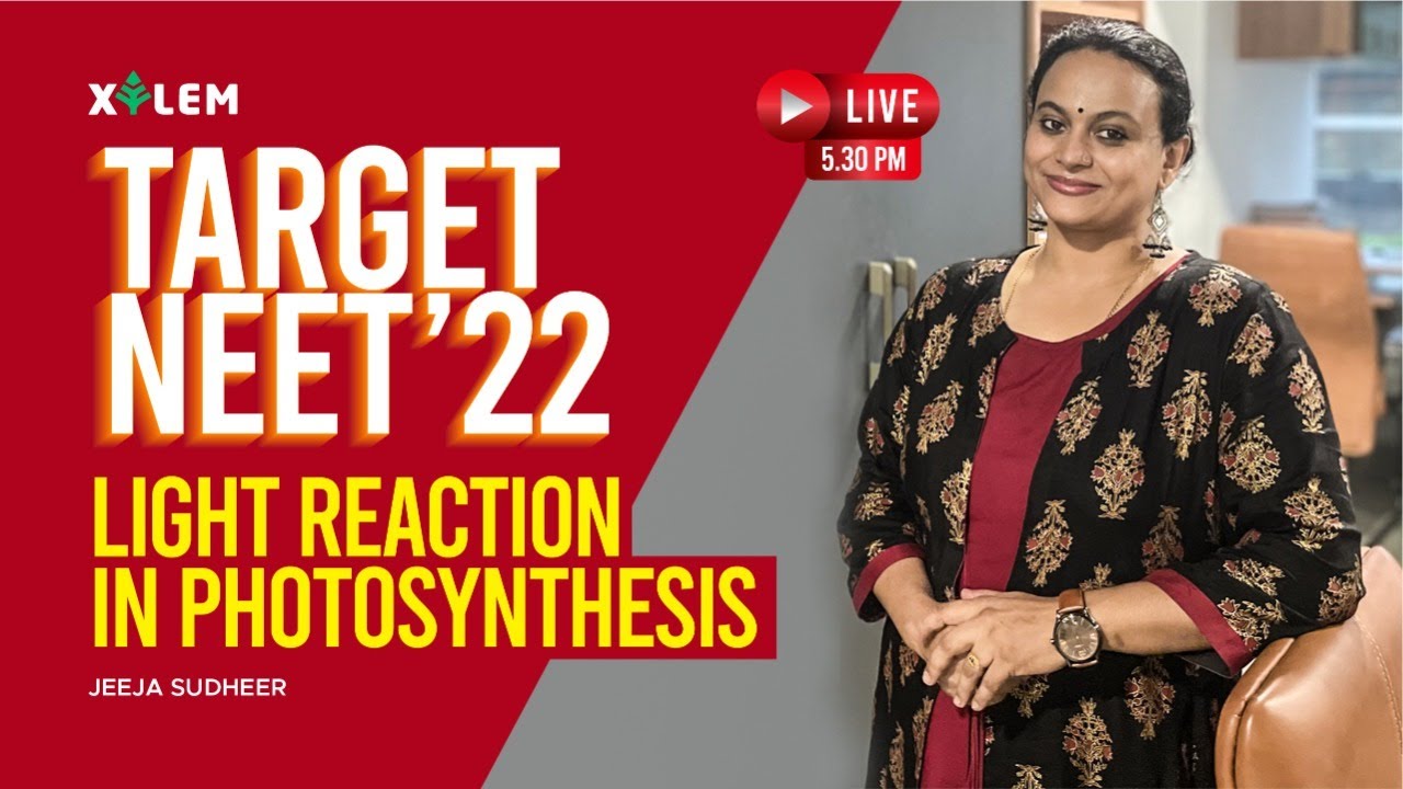 Target NEET 2022 - LIGHT REACTION IN PHOTOSYNTHESIS  | One Shot | NEET Biology | JS | Xylem Learning