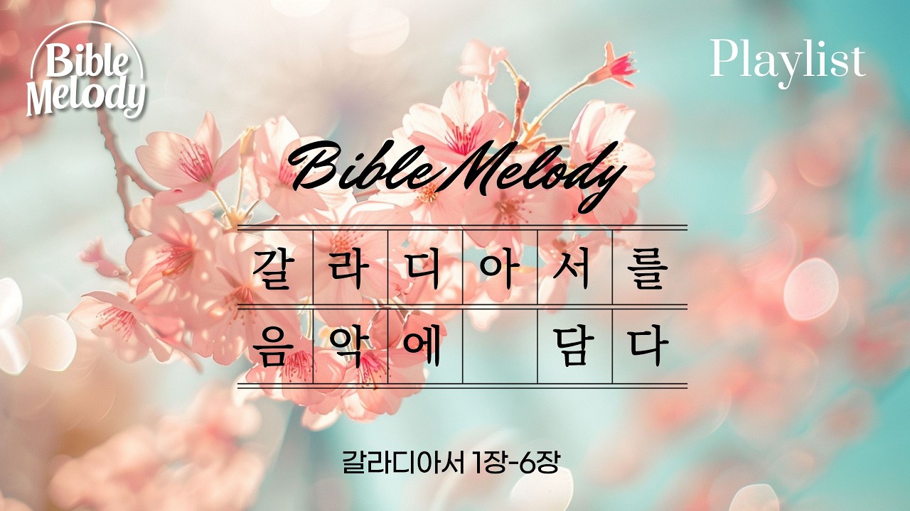 [갈라디아서 찬양 모음집] 은혜로 시작해 자유로 걷다 | 성경 찬양 워십 CCM 모음