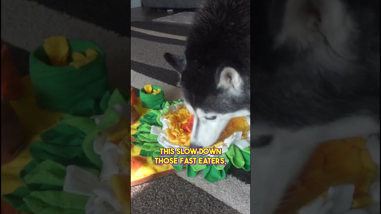 My Dogs LOVE This Snuffle Mat! 