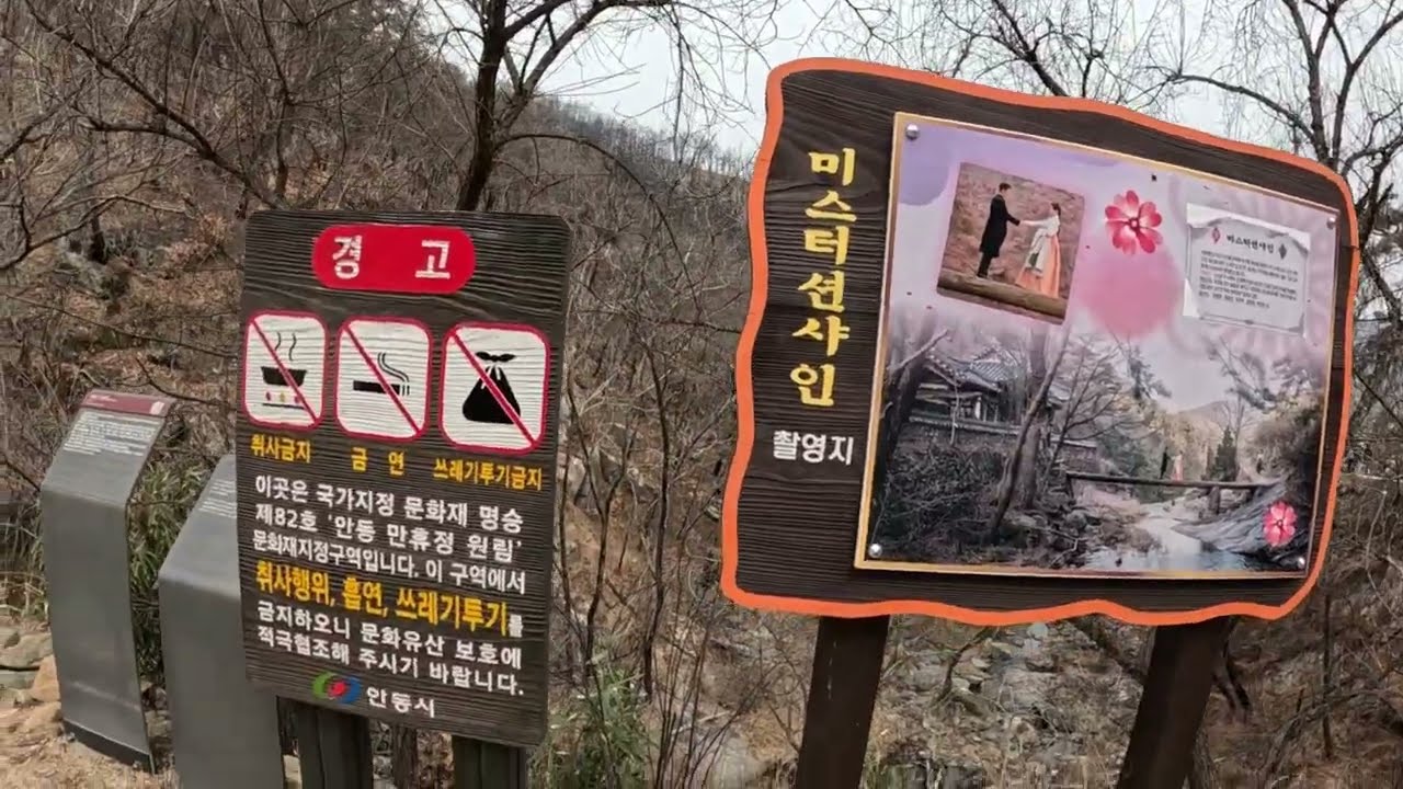 [안동 만휴정] ..나랑 같이 합시다 러브.. '미스터선샤인'의 외나무 다리 '만휴정' .. 안타까워라! 주위 산의 모든 나무가 불에 타 죽었네!