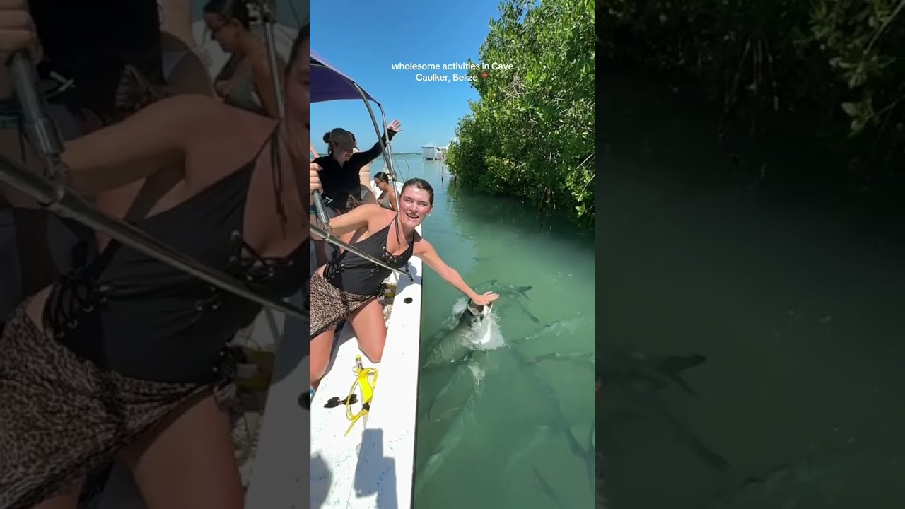 wholesome activities i love fish ❤️ pop net usa 🎉 #popnetusa