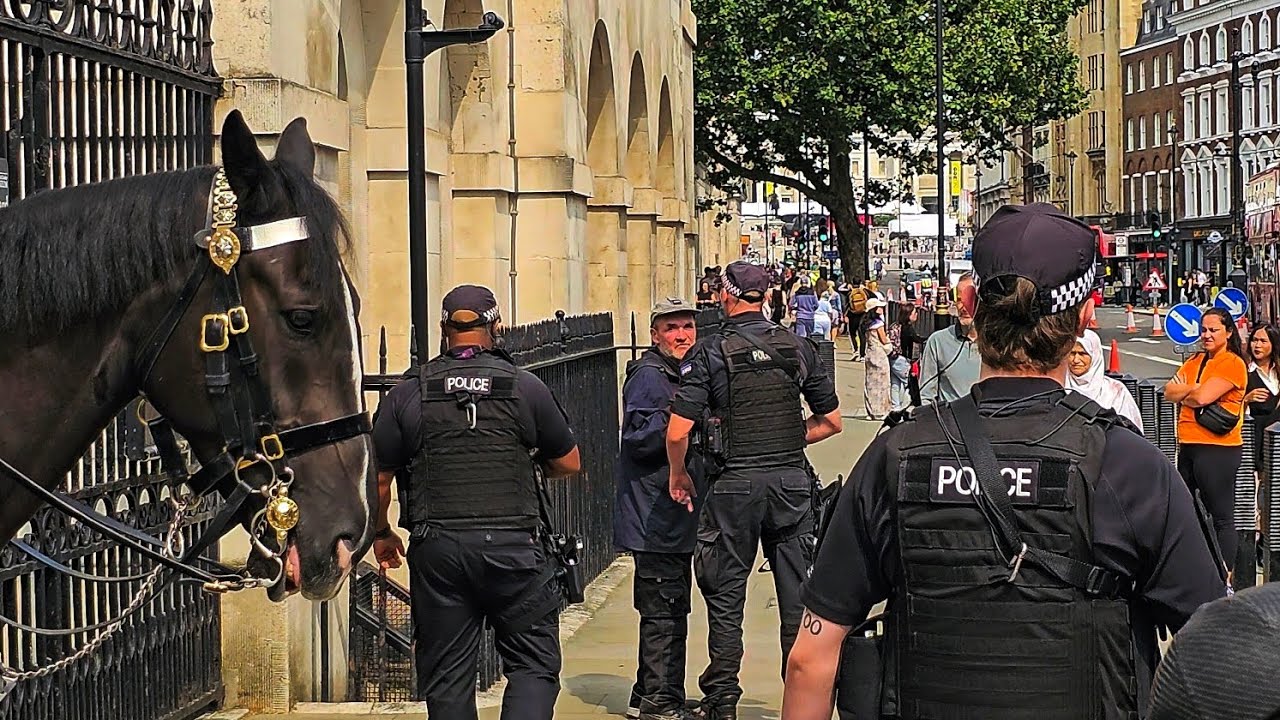 WOW! BRILLIANT TROOPERS AND POLICE STOP PEOPLE TOUCHING THE HORSE at Horse Guards!